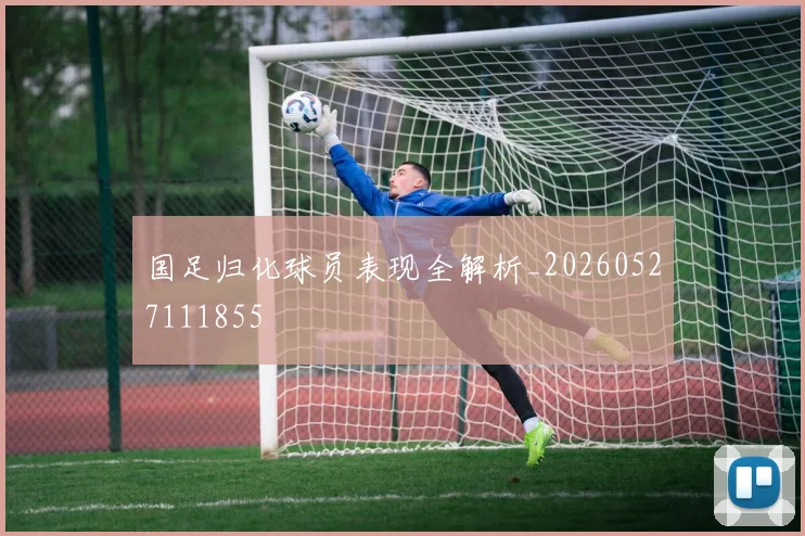 国足归化球员表现全解析_20260527111855
