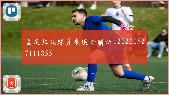 国足归化球员表现全解析_20260527111855